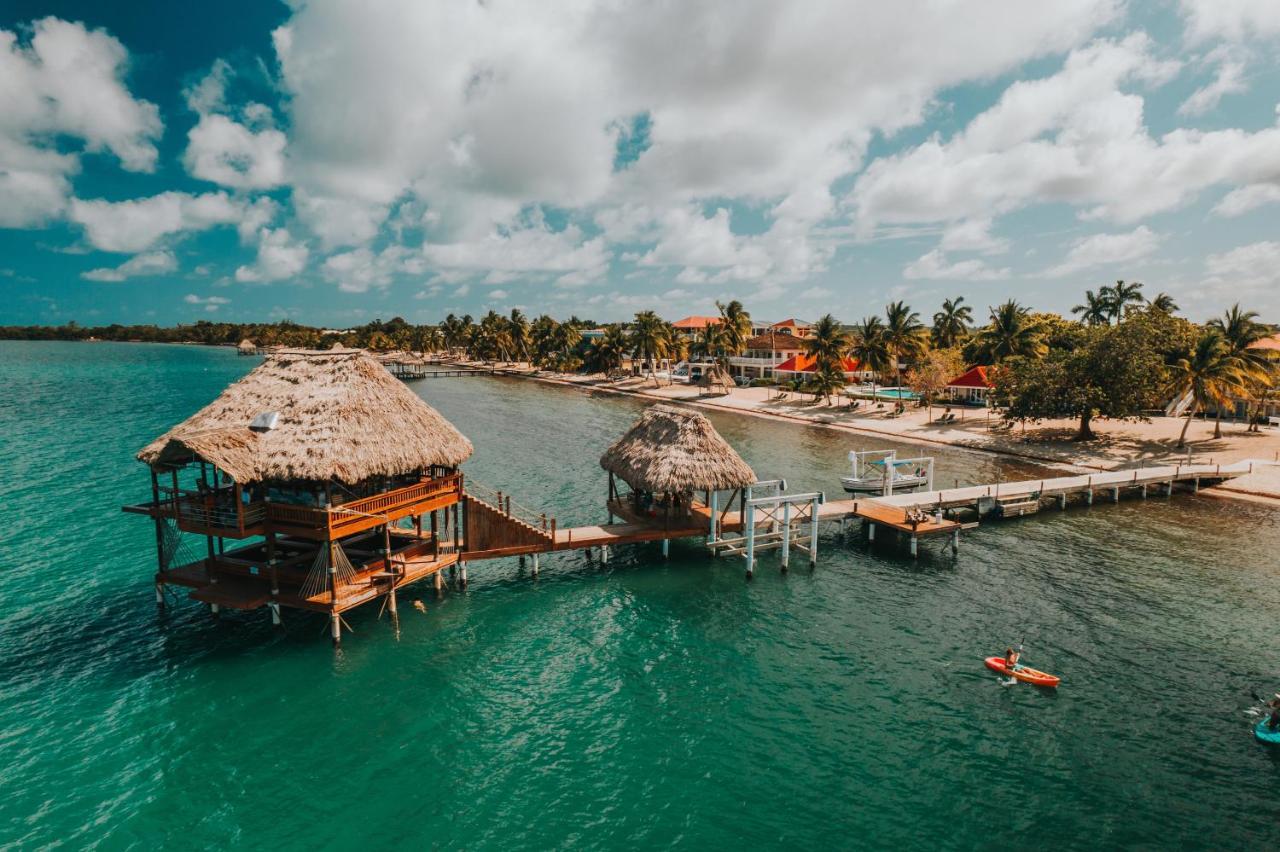 The Lodge At Jaguar Reef Хопкинс Екстериор снимка